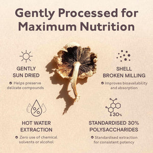 Organic Mushroom Complex 8 | Pure Fruiting Body Extracts Zero Additives | High Strength 30% Extract of Lion'S Mane, Reishi, Cordyceps, Chaga, Shiitake, Tremella, Maitake & Oyster | 60 Vegan Capsules