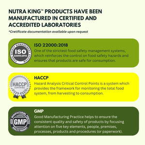 Ginkgo Biloba High Strength by Nutraking (32 Day Supply) - Brain Supplement for Focus with Ginkgo Biloba (500Mg - 24% Flavonoids), Bacopa Monnieri (1200Mg), Choline (50Mg), Rosemary Leaf (250Mg)