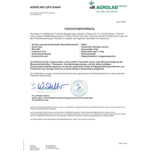 Hepatica Graviola Fruit Extract 2500Mg | 5:1 Extract (500Mg) | 90 Vegan Capsules | High Strength Immune & Antioxidant Support | 3Rd Party Lab Tested | Non-Gmo & Gluten-Free