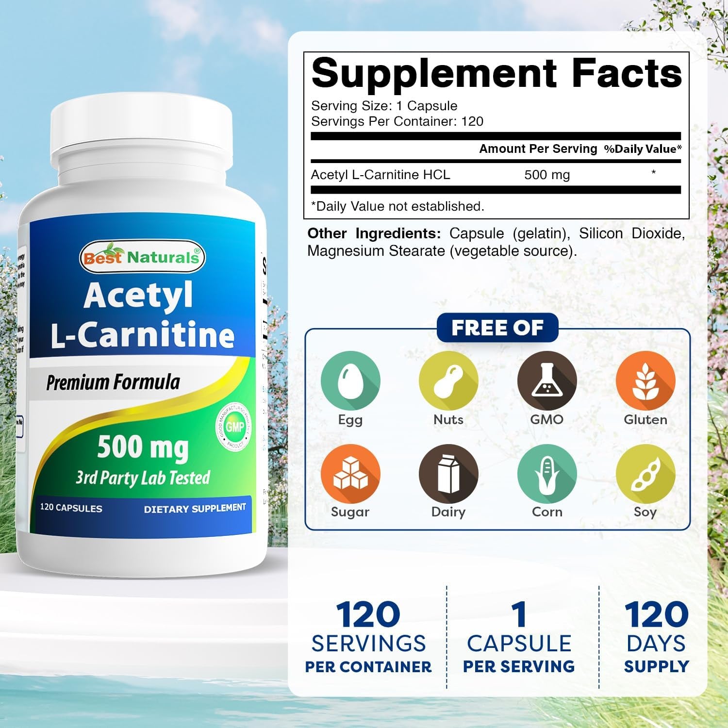 Best Naturals Acetyl L-Carnitine 500 Mg 120 Capsules