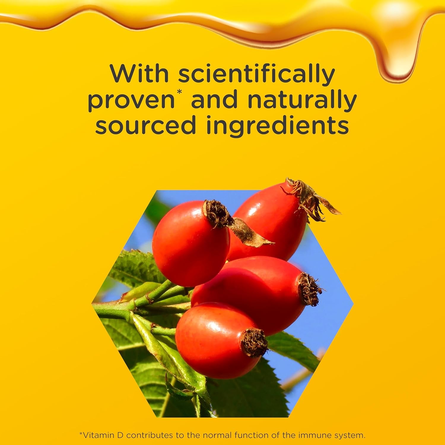 Zarbee’S Adult Immune Support, 120 Ml, to Support the Immune System* Daily, Honey-Based, No Artificial Colours or Flavours, Multivitamin