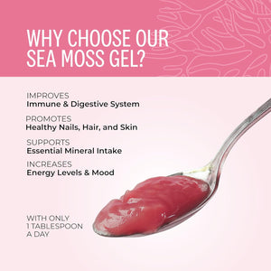 Wyld Herbs All-Natural Strawberry Infused Sea Moss Gel | 100% Wildcrafted Dr Sebi Sea Moss | Superfood Rich in Minerals, Proteins & Vitamins - Vegan & Gluten Free Sourced from the Caribbean 300ML