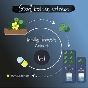 Vegavero Tribulus Terrestris 10,800 Mg | High Strength Extract | 1620 Mg Saponins per Serving | NO Additives, Lab-Tested | Stamina & Strength Support for Men & Women | 120 Capsules | Vegan