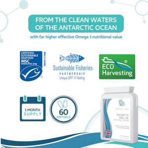 Antarctic Krill Oil 500Mg 60 Capsules - 100% Pure Cold Pressed Superba™ Krill Antarctic Eco Harvested – Reflux Free Source of Omega 3 EPA & DHA Lipids, Phospholipids, Choline and Astaxanthin