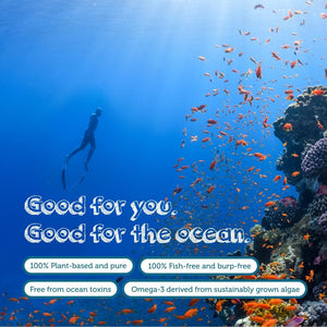 Vegan Omega 3 Supplement - High Strength 325Mg DHA + 150Mg EPA per Capsule - 1 Capsule a Day - Supports Heart, Brain, Joint Health - Plant-Based Omega 3 from Algae Oil - 2 Months Supply