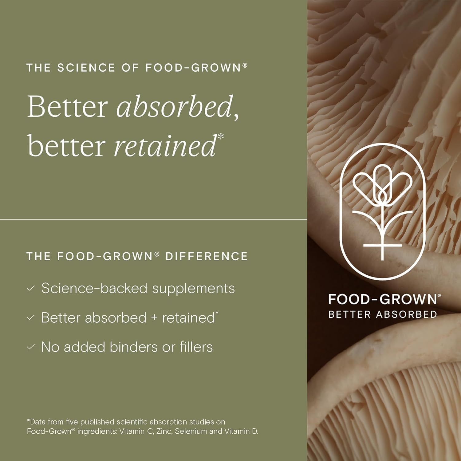 WILD NUTRITION Food-Grown® Ashwagandha KSM 66 plus | Ethically Sourced Ashwagandha Capsules to Support Mind and Body | Tablets to Support Stress and Anxiety | 60 Capsules