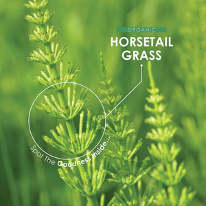 Organic Horsetail 1400Mg – 90 Vegan Capsules (45 Day Supply) – Pure & Potent Powder – Resealable and Recyclable Pouch by Alpha01