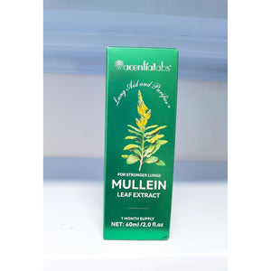 Mullein Leaf Extract for Lungs, Mullein Drops, Powerful Mullein Leaf Liquid Drops, Vegan Mullein Leaf Sublingual Fast Absorption - 60Ml*2-4 Month Supply
