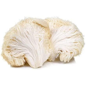 Sol Nutrition Lion'S Mane Mushroom Powder, Organic - 100G