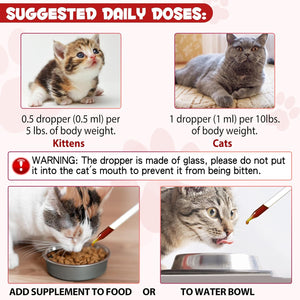Liquid Iron Drops for Cats, Liquid Supplement for Cats Supports Anemia, Low Enery Levels and Lethargy, Improve Energy Levels & Vitality, Pet Supplies Cat Supplement Vitamins, Caramel Flavor - 2 Fl.Oz