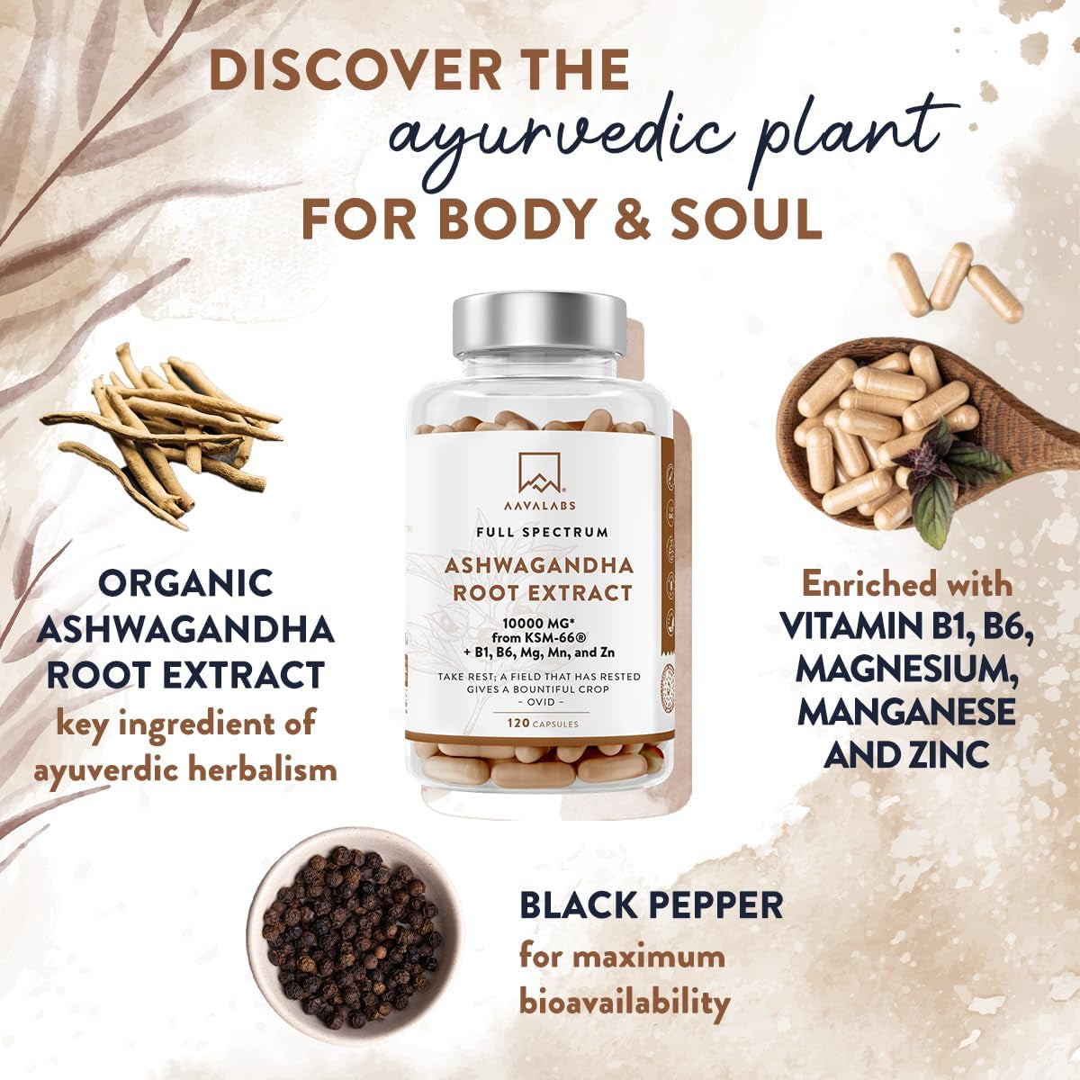 Ashwagandha KSM 66 -1000Mg (Highly Concentrated 10:1 Extract Ratio Equivalent to 10,000Mg per Serving)Of Which 5% Withanolides-With Vitamin B6, B1, Zinc, Magnesium & Manganese-120 Ashwagandha Capsules