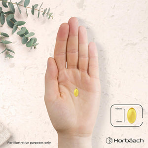 Evening Primrose and Starflower Oil Capsules 1000Mg | with Vitamin B6 | 60 Softgels | Rich Source of Omega 6 GLA & 9 Oleic Fatty Acids | by Horbaach