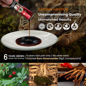 BTGIN Korean Red Ginseng Extract 3000Mg Everyday, Immune Booster and Focus Supplement for Brain Enhancement with Ginsenoside Rg3, Panax Ginseng 6 Years Root, Saponin Hanppuri 30Packets in 1 Set