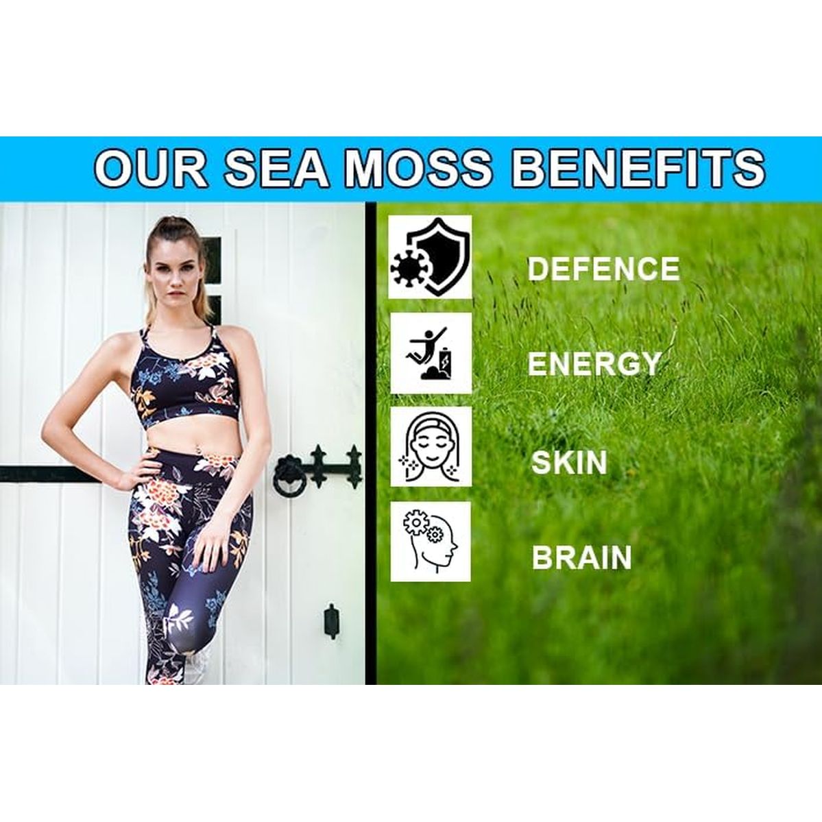 Sea Moss and Bladderwrack 120 Capsules (3600Mg) | Vegan | Wild Harvested Sea Moss | Non GMO | Dr Sebi Irish Sea Moss