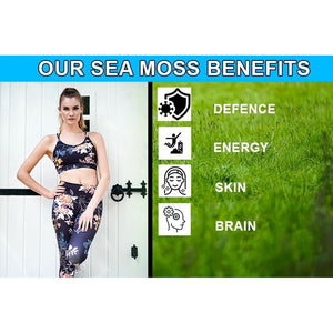 Sea Moss and Bladderwrack 120 Capsules (3600Mg) | Vegan | Wild Harvested Sea Moss | Non GMO | Dr Sebi Irish Sea Moss
