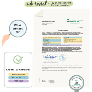 Vegavero Organic Oregano Oil Capsules | Vegan | 90 Mg Carvacrol, 3 Mg Thymol | Cold-Pressed & Essential | NO Additives, Lab-Tested