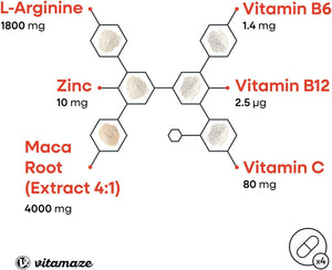 Maca Root Capsules for Women and Men with L-Arginine, B6, B12 and Zinc - Hormonal Balance, Anti-Stress, Energy Booster - 240 Capsules for 2 Months - Organic Supplement, German Quality- Vitamaze