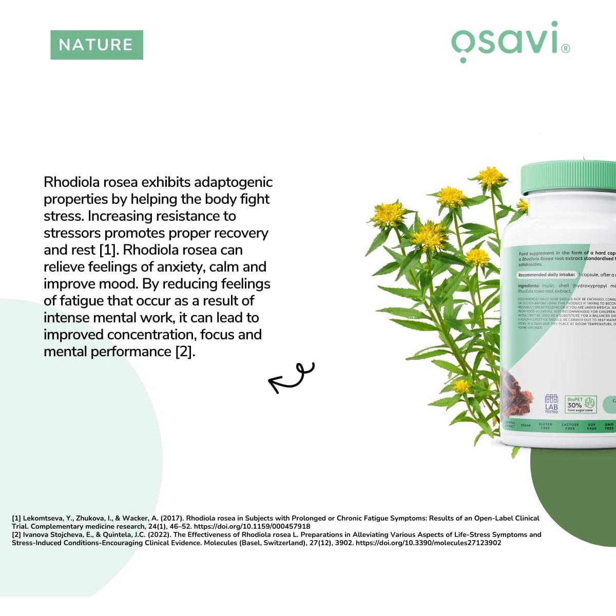 Osavi Rhodiola Rosea Root 400Mg – 120 Vegan Caps | Adaptogenic Support for Reducing Stress–Induced Fatigue and Enhancing Mental & Physical Wellbeing
