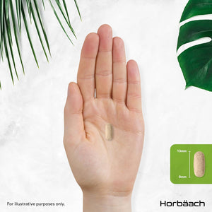 Boswellia Serrata Extract 4200Mg | 65% (273Mg) Boswellic Acid | 120 Vegan Tablets | Indian Frankincense Supplement | by Horbaach