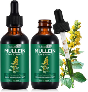 2 Pack Mullein Drops for Lungs, Mullein Leaf Extract with Chlorophyll, Mullein Leaf Extract Supplement, for Lung Cleanse and Respiratory Support