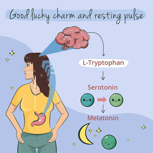 Vegavero L-Tryptophan 220 Mg | 120 Capsules (4 Months Supply) | NO Additives | Lab-Tested | Pure Tryptophan Supplement | Vegan