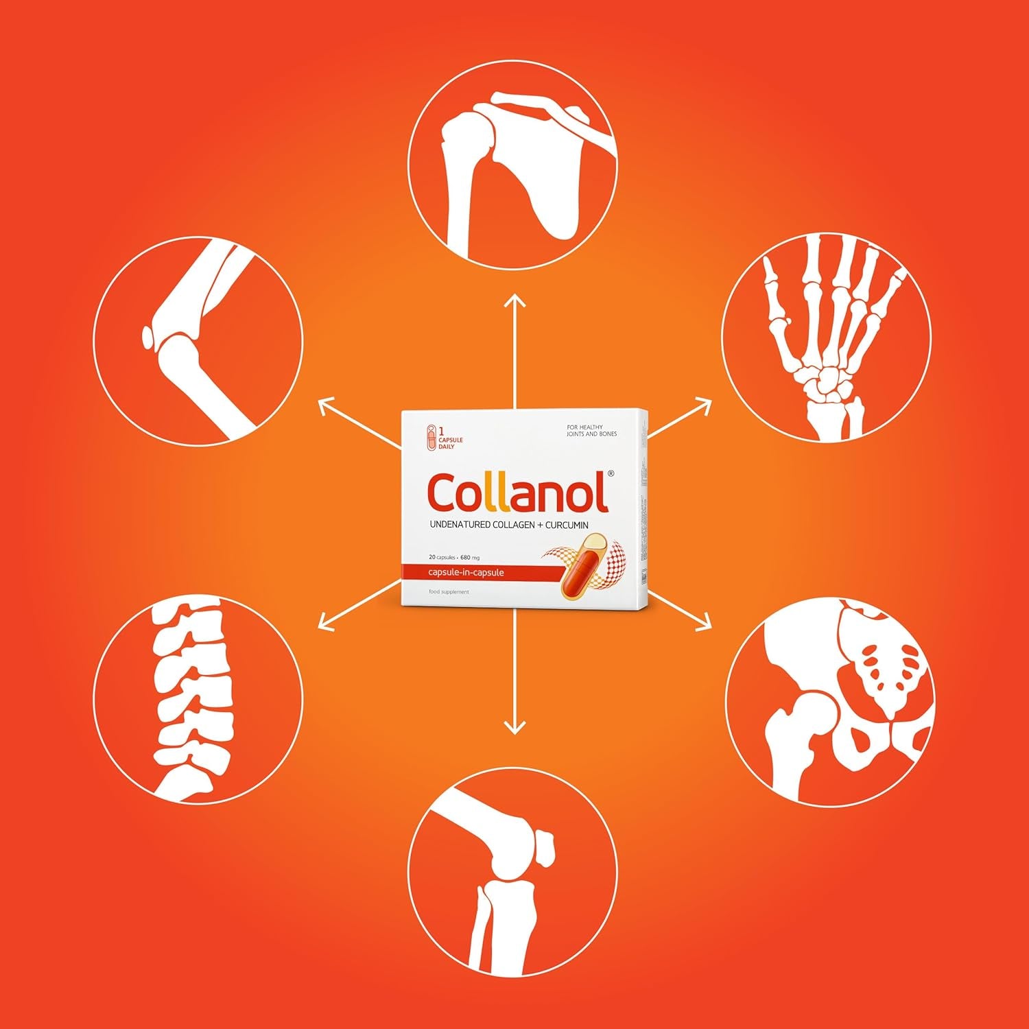 Collanol - the Revolution in Joint Health Care - Liquid Formula in a Double Capsule 3D Collagen + Micellar Extract of Turmeric Roots 1 Capsule/Day. Laboratory Tested (20 Count (Pack of 3))