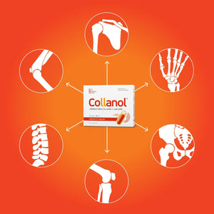 Collanol - the Revolution in Joint Health Care - Liquid Formula in a Double Capsule 3D Collagen + Micellar Extract of Turmeric Roots 1 Capsule/Day. Laboratory Tested (20 Count (Pack of 3))