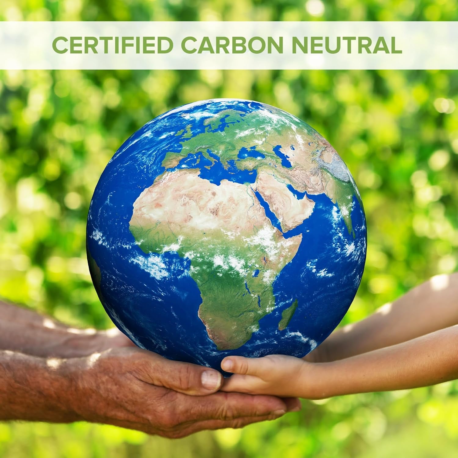 Sage Leaf Supplement | 240 Tablets | Salvia Officinalis Extract | Made in the UK | Vegan Friendly & Gluten Free (240)