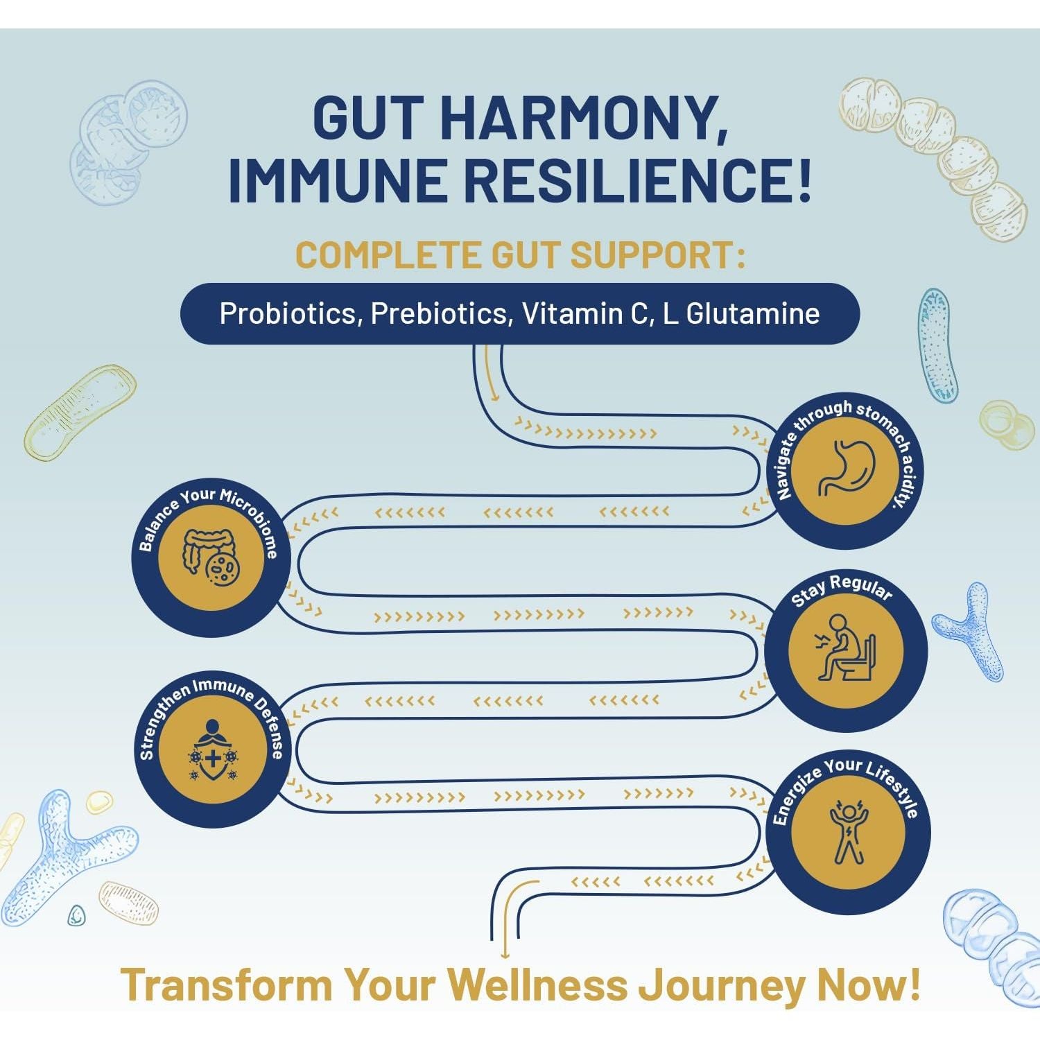 Bio Cultures Complex Probiotics and Prebiotics - 50 Billion CFU - 10 Live Bacteria Strains – Added with Inulin, L-Glutamine & Vitamin C - 60 Capsules | Advanced Probiotic for Women & Men by Prowise