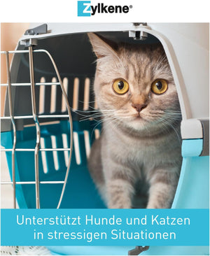 Zylkene 75 Mg - 100 Capsules (Cats & Small Dogs)