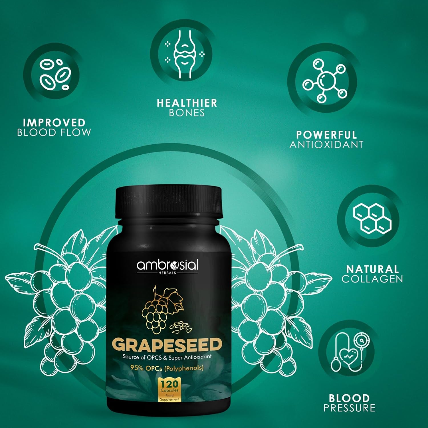 Ambrosial Grape Seed Extract Capsules | 95% Opcs Polyphenols | High Strength Grape Seed Supplement | Strong Antioxidant | Pack of 1-120 Vegan Capsules