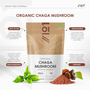 Organic Chaga Mushroom Powder 100G – Pure Inonotus Obliquus Supplement Powder – Resealable and Recyclable Pouch – by Alpha01