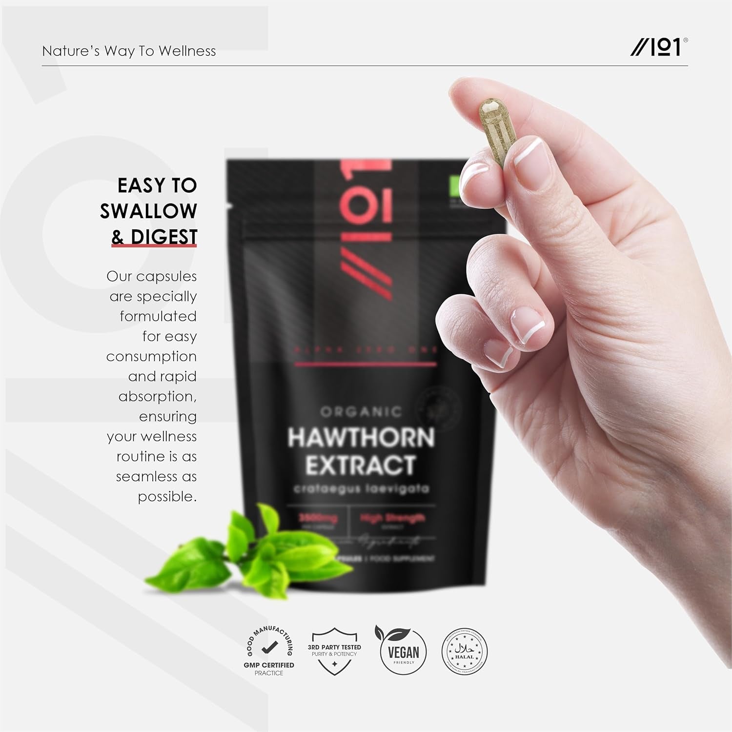 Organic Hawthorn Extract 3500Mg – 90 Vegan Capsules – High Strength Hawthorn Berry Supplement 7:1 Extract – Resealable and Recyclable Pouch by Alpha01