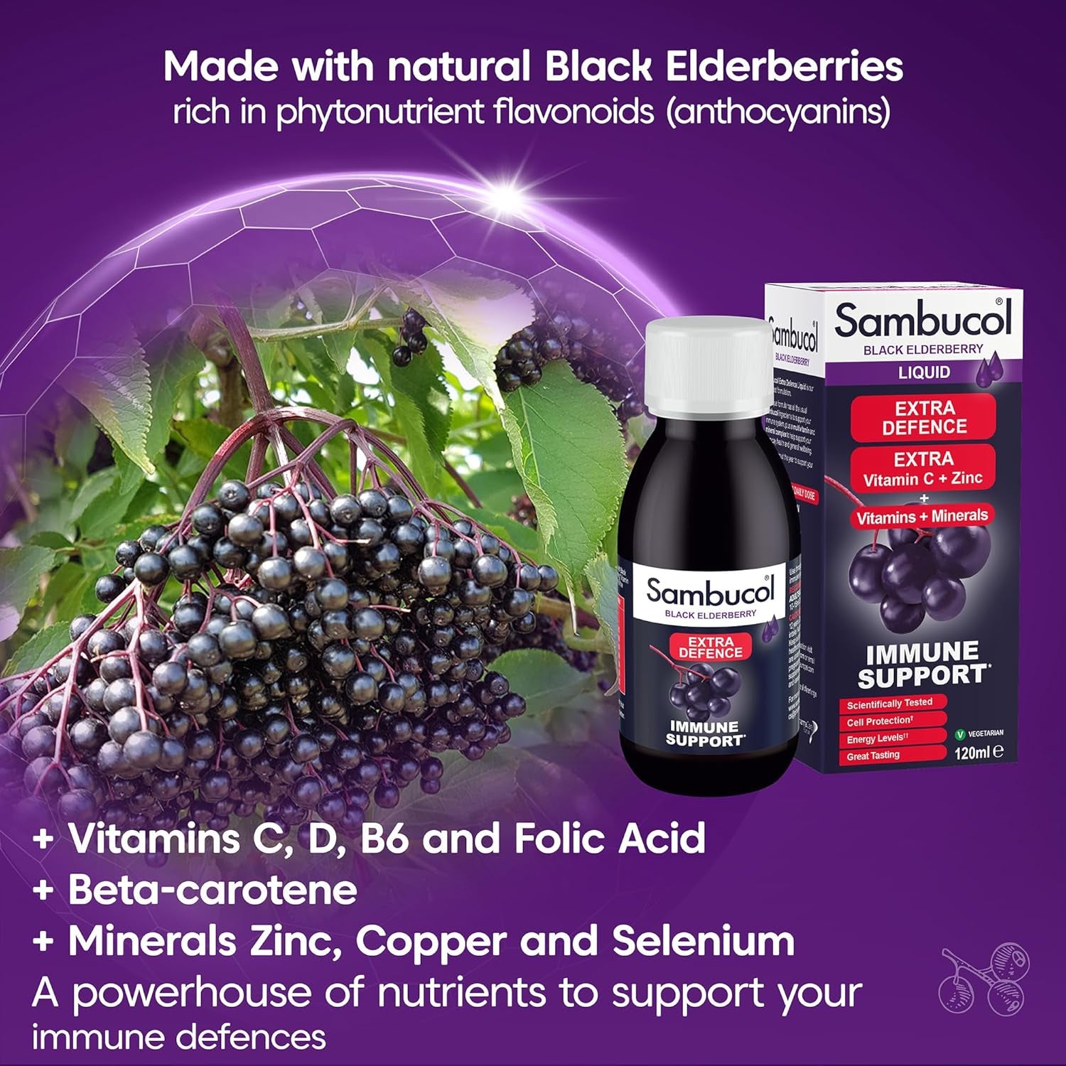 Sambucol Natural Black Elderberry Extra Defence Liquid | Vitamin C, B6 & D | Zinc | Folic Acid & Minerals |Advanced Immune Support Supplement | 120Ml