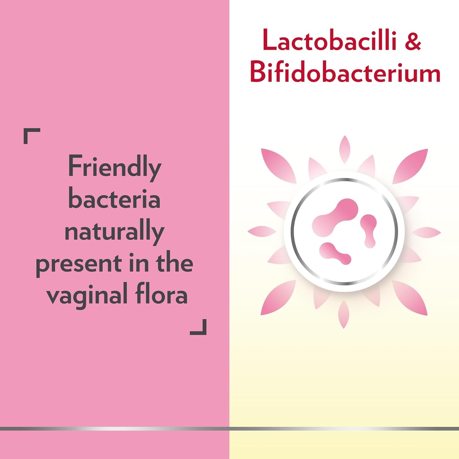 Canesten Canesbiotics, Oral Capsules with Live Friendly Bacteria Naturally Present in the Vaginal Flora, 4 Billion Live Cultures, Vitamin B2, Food Supplement, 30 Capsules