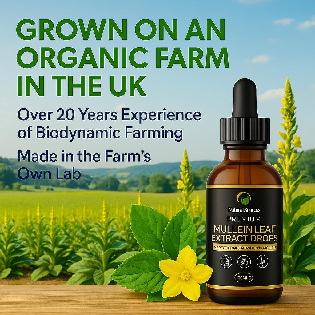 Mullein Leaf Extract for Lungs 100Mls -UK Grown & Produced-Highest Concentrate Tincture - Mullen Drops - XXL Size 100Ml = 100 Servings(3 Month Supply). GMDP ORG Certified/Vegan/Non Gmo/Cruelty Free.