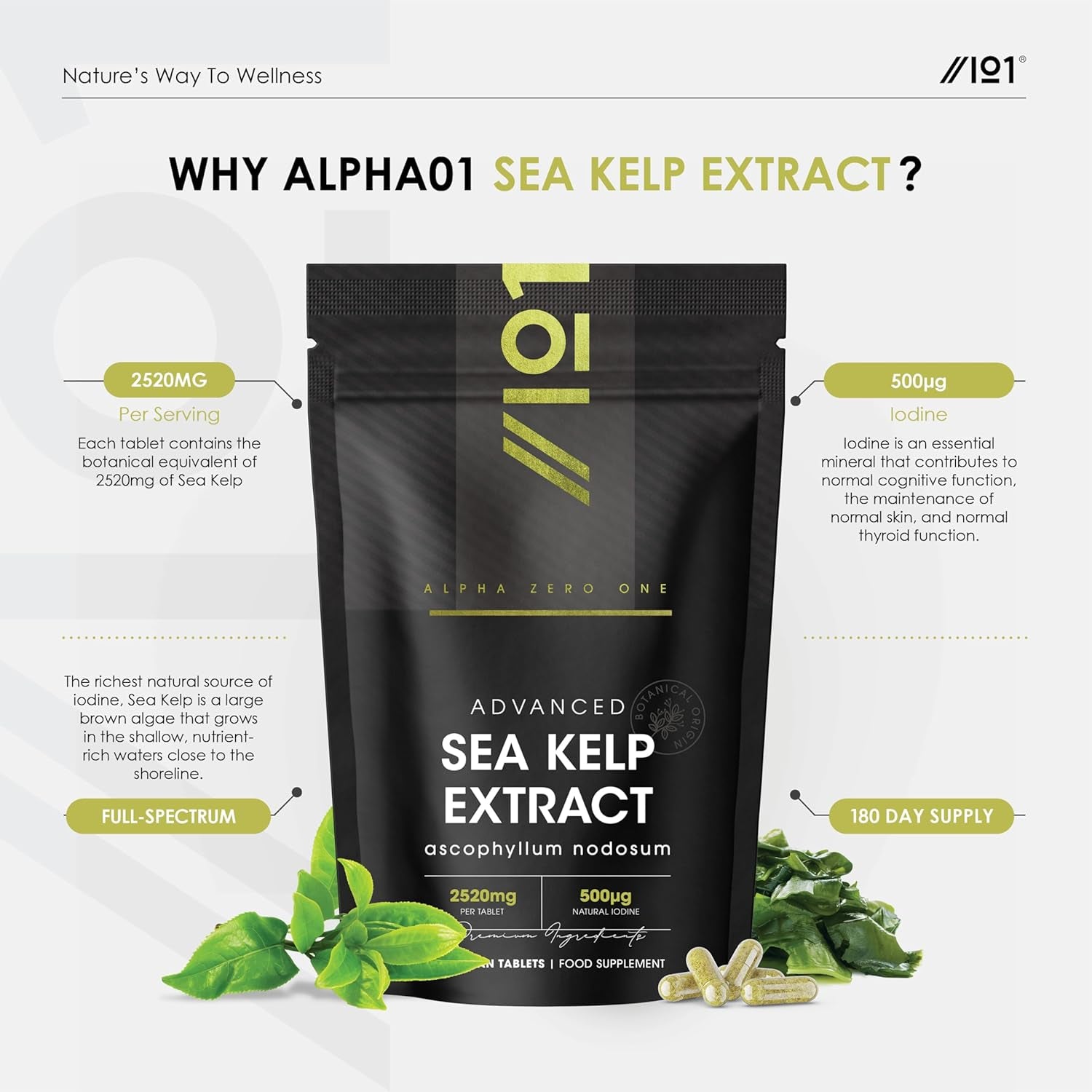Sea Kelp Extract 2520Mg Tablets - 500Μg Natural Iodine - 180 Vegan Tablets (6 Months Supply) - High Strength 30:1 Ascophyllum Nodosum Extract - Resealable and Recyclable Pouch by Alpha01