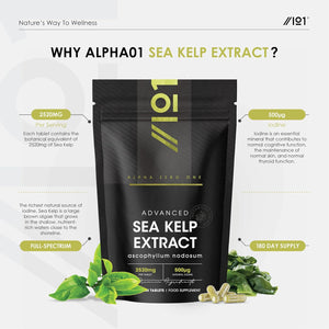 Sea Kelp Extract 2520Mg Tablets - 500Μg Natural Iodine - 180 Vegan Tablets (6 Months Supply) - High Strength 30:1 Ascophyllum Nodosum Extract - Resealable and Recyclable Pouch by Alpha01