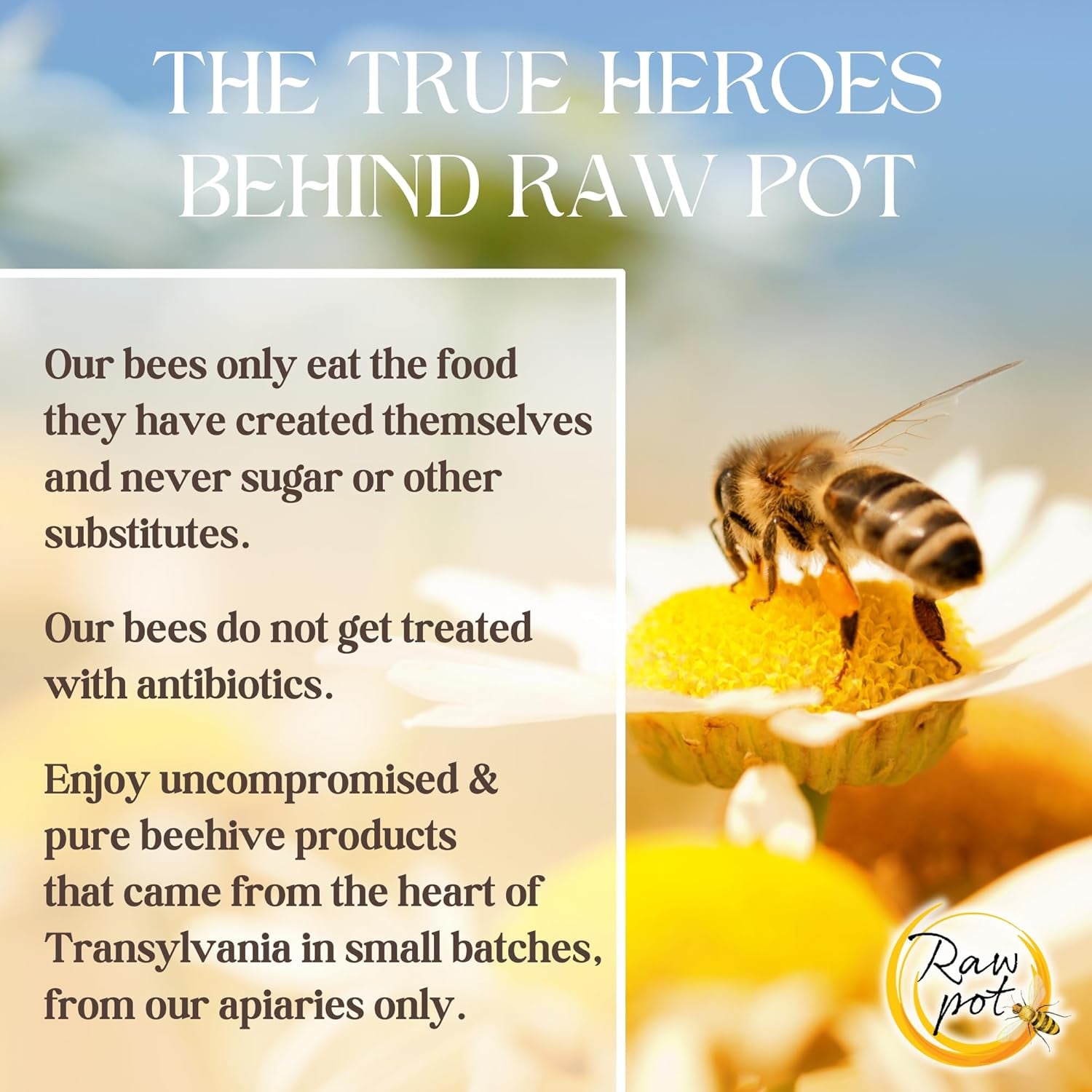 RAW POT - Organic RAW Propolis Spray for Kids 1+ - Alcohol-Free Pure Unpasteurised Natural Bee Propolis Liquid for Sore Throat Relief, Children Immune Support, Immunity Supplement for Kids (20Ml)