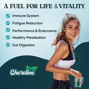 Shilajit Sea Moss and Ashwagandha Gummies 1500Mg per Serving, Enriched with 60% Fulvic Acid & 85+ Trace Minerals, High Strength Complex for Energy, More Convenient than Resin (60 Count (Pack of 1))