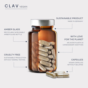 N°9 Sugar FIX - Blood Sugar Control Supplement - Cinnamon Capsules with Bitter Melon, Beta Glucan & Chromium - 60 Capsules - Vegan Glucose Support Supplement - Blood Sugar Diet - Made in Germany