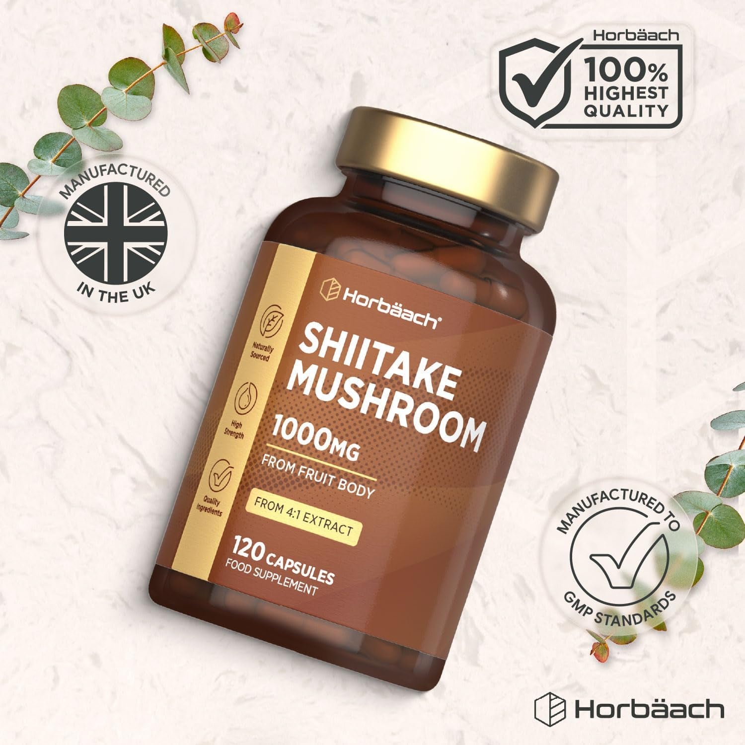 Shiitake Mushroom Extract 1000Mg | 120 Capsules | Mushroom Powder | Supplement for Men & Women | No Artificial Preservatives | by Horbaach