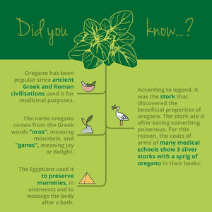 Vegavero Organic Oregano Oil Capsules | Vegan | 90 Mg Carvacrol, 3 Mg Thymol | Cold-Pressed & Essential | NO Additives, Lab-Tested