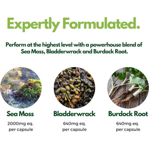 Nutripact Sea Moss Capsules, Bladderwrack and Burdock Root - 3280Mg per Serving - One a Day High Strength - Easy to Swallow - Natural Source of Iodine - Chondrus Crispus - 60 Vegan Capsules