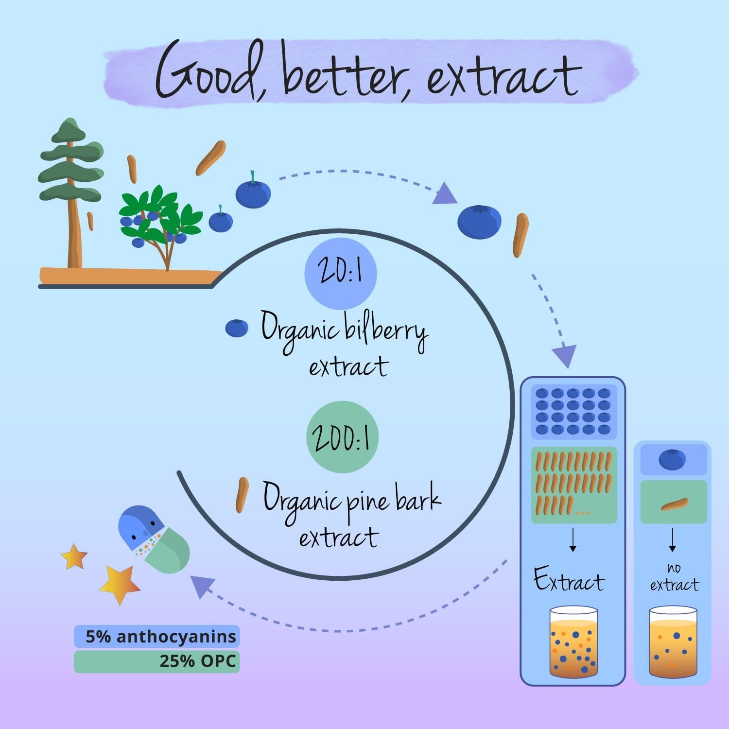 Vegavero Organic Bilberry 12,000 Mg & Pine Bark | from High Strength Extracts | Premium Quality from Finland | NO Additives | 90 Capsules | Vegan