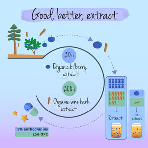 Vegavero Organic Bilberry 12,000 Mg & Pine Bark | from High Strength Extracts | Premium Quality from Finland | NO Additives | 90 Capsules | Vegan