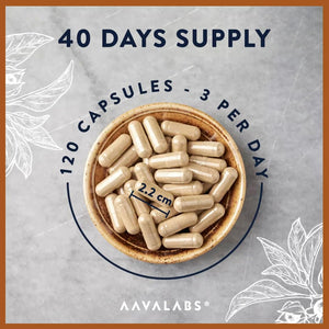 Ashwagandha KSM 66 -1000Mg (Highly Concentrated 10:1 Extract Ratio Equivalent to 10,000Mg per Serving)Of Which 5% Withanolides-With Vitamin B6, B1, Zinc, Magnesium & Manganese-120 Ashwagandha Capsules