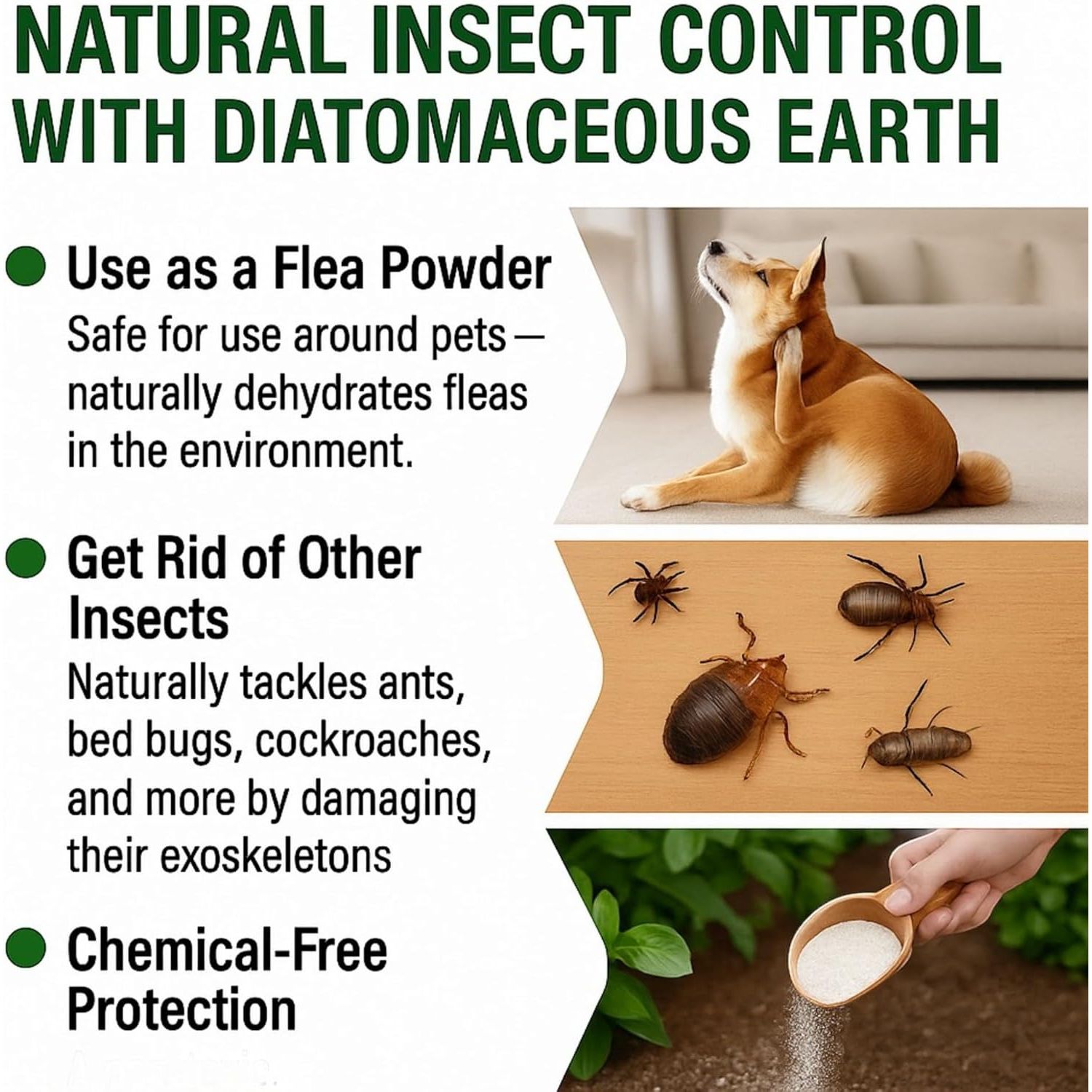 Superior Diatomaceous Earth Food Grade 500G - Diatomaceous-Earth Superior Food Grade UK by Natural Sources™ Full Ebook! Premium Fresh Water Source! Use for Health, Pets, Pest Control, for Chickens…