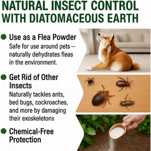 Superior Diatomaceous Earth Food Grade 500G - Diatomaceous-Earth Superior Food Grade UK by Natural Sources™ Full Ebook! Premium Fresh Water Source! Use for Health, Pets, Pest Control, for Chickens…