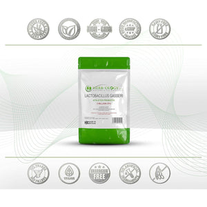 HB Lactobacillus Gasseri | 60 Lactobacillus Probiotic Capsules - High Strength 3 Billion CFU L-Gasseri Probiotic per Serving | Non-Gmo, Gluten & Allergen Free | Made in the UK
